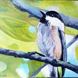 Chickadee Moment