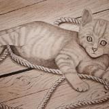 Kitty Tangler