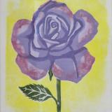 Violet/Red Rose on Yellow