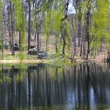 Swing Time in the Springtime  