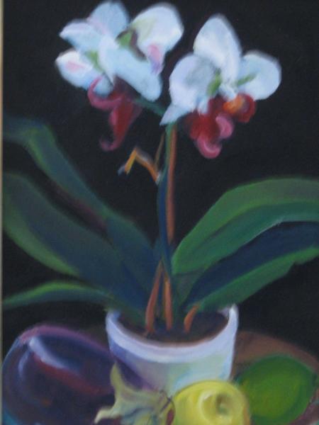 Orchid, White 