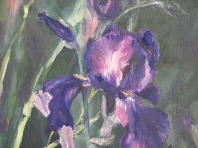 Iris Splash, Oil (Alkyd)