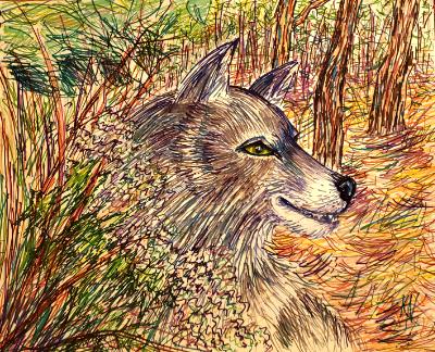 The Outlook of the Wild