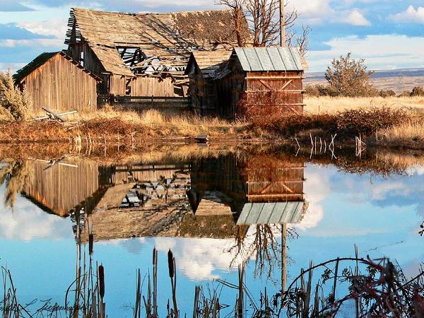 The Barn Reflection on Kelly's Century Farm