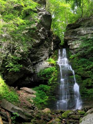 Buttermilk Falls and Forest Buttermilk Falls and Forest