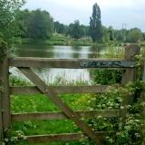 Through the Gate