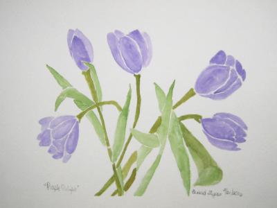 Purple Tulips