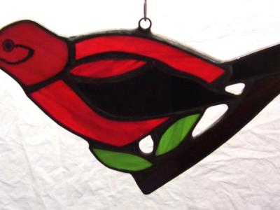 Scarlet Tanager Scarlet Tanager