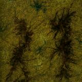 Zephyr Series No. 20