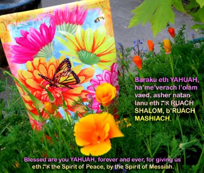 Blessing_Day 3_ Afternoon Blessing_Day 3_ Afternoon