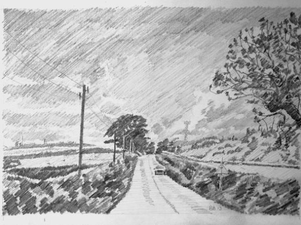 A Devon road near Bishmill