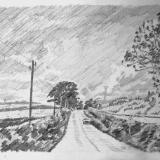 A Devon road near Bishmill