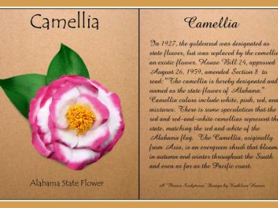 Camellia, Alabama State Flower Pin