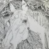 HORSES & more