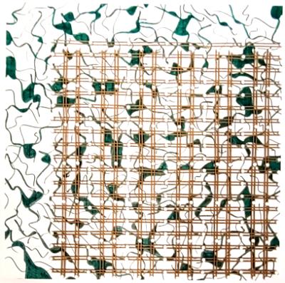 Neuron Lattice