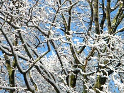 First snow