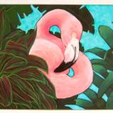 Flamingo Bromilliad