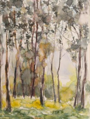 View of the forest, 45cm x 30cm, 2018 View of the forest, 45cm x 30cm, 2018