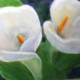 Two Lilies