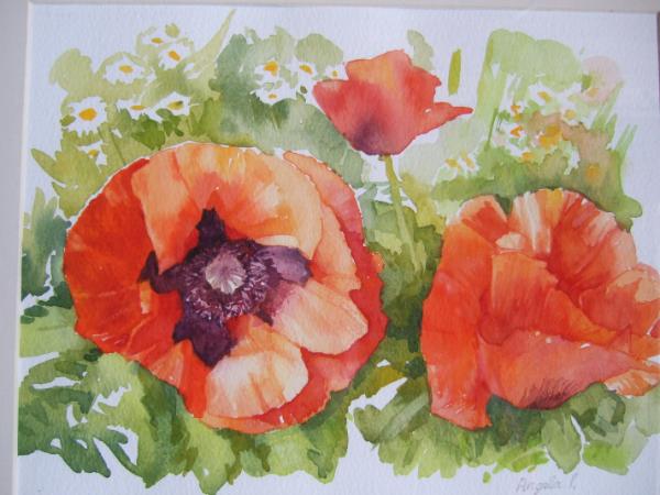 Red Poppies