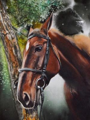 Cheyenne, 38cm x 56cm, 2022 Cheyenne, 38cm x 56cm, 2022