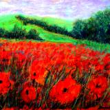 Poppiefield