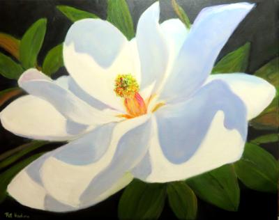Magnolia 2 Magnolia 2