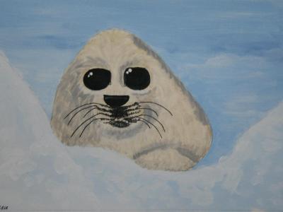 Seal Pup
