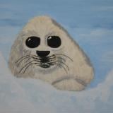 Seal Pup