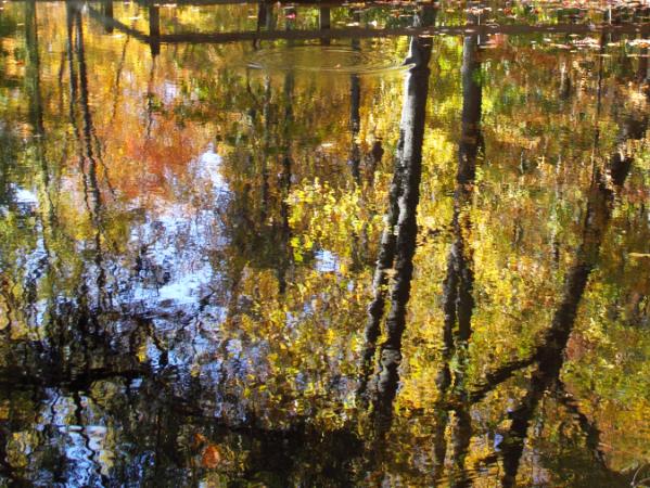 Autumn in Georgia