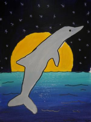 Dolphin at Night