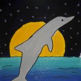 Dolphin at Night