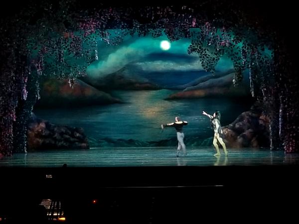 Swan Lake Forest and Lake