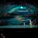 Swan Lake Forest and Lake