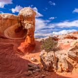 Surreal Swirls of Rock at White Pocket
