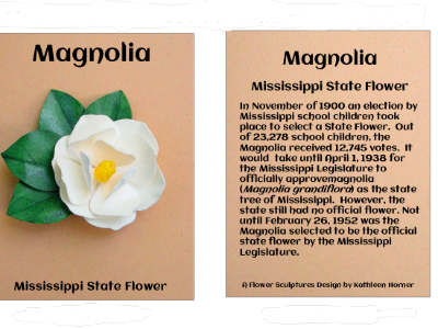 Mississippi State Flower The Magnolia