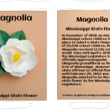Mississippi State Flower The Magnolia