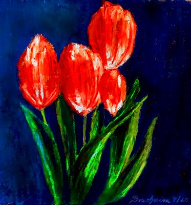 Tulips