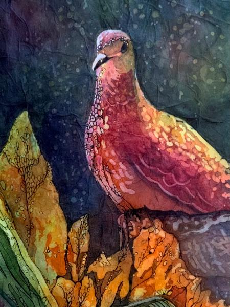 Dove