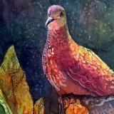 Cynthia A. Roach Fine Art