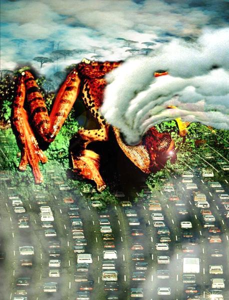 Acceptable Levels, 2005.