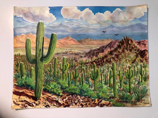 Saguaros Overlooking the Mountains