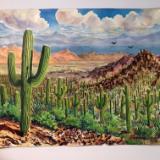 Saguaros Overlooking the Mountains