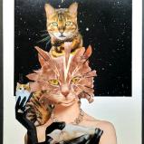 Collage & Mixed Media