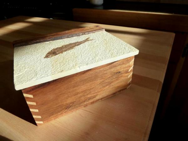 Keepsake Box (with Authentic Imbedded Fossil Lid)
