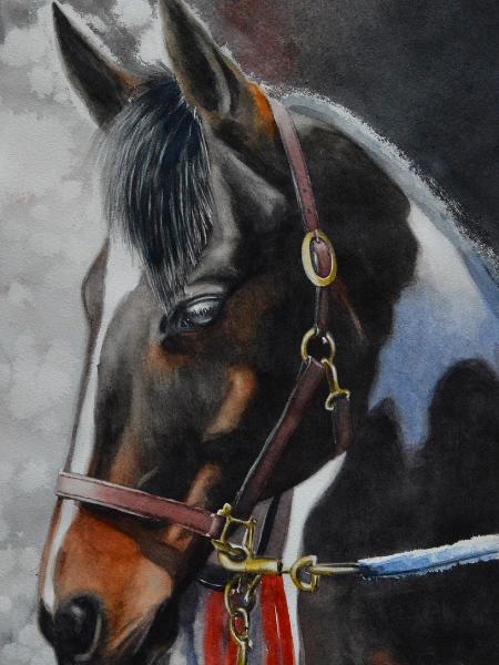 The beauty of the American Paint Horse, 38cm x 56xm, 2019