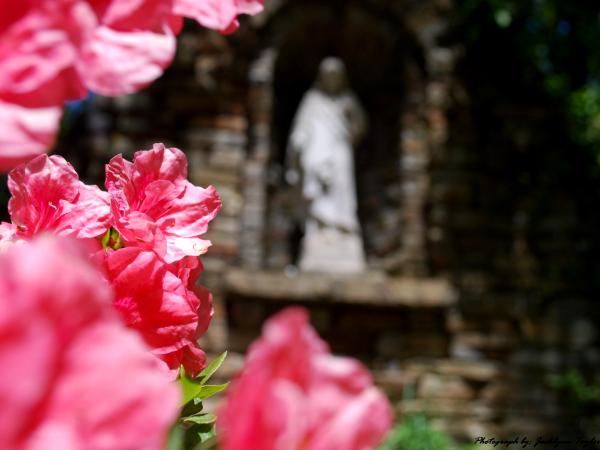 Grotto