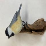 Chickadee 
