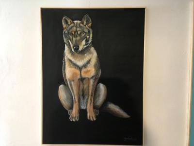 Wolf Wolf