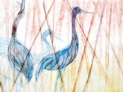 Herons within the Reeds Herons within the Reeds